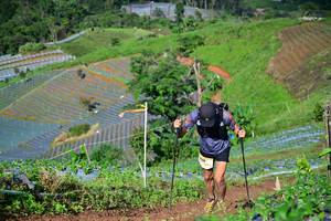 BIB: 
                            <button type="button" onclick="openModal(13379724)" class="btn btn-primary btn-sm float-right btn-popup" data-toggle="modal" data-target=".modal-high-quality">
                        <i class="fas fa-shopping-cart"></i> Add to Cart
                    </button>
                                            <button type="button" onclick="isThisMe(13379724, true)" class="btn btn-success btn-sm float-right btn-popup btn-isme hidden" data-toggle="tooltip" data-placement="bottom" title="นี่คือรูปของคุณใช่ไหม คลิกที่นี่เพื่อเอาเข้าอัลบั้ม">
                        <i class="fas fa-plus"></i> Add to album
                    </button>
                    <button type="button" onclick="isThisMe(13379724, false)" class="btn btn-warning btn-sm float-right btn-popup btn-isnotme hidden">
                        <i class="fas fa-ban"></i> Remove from album
                    </button>